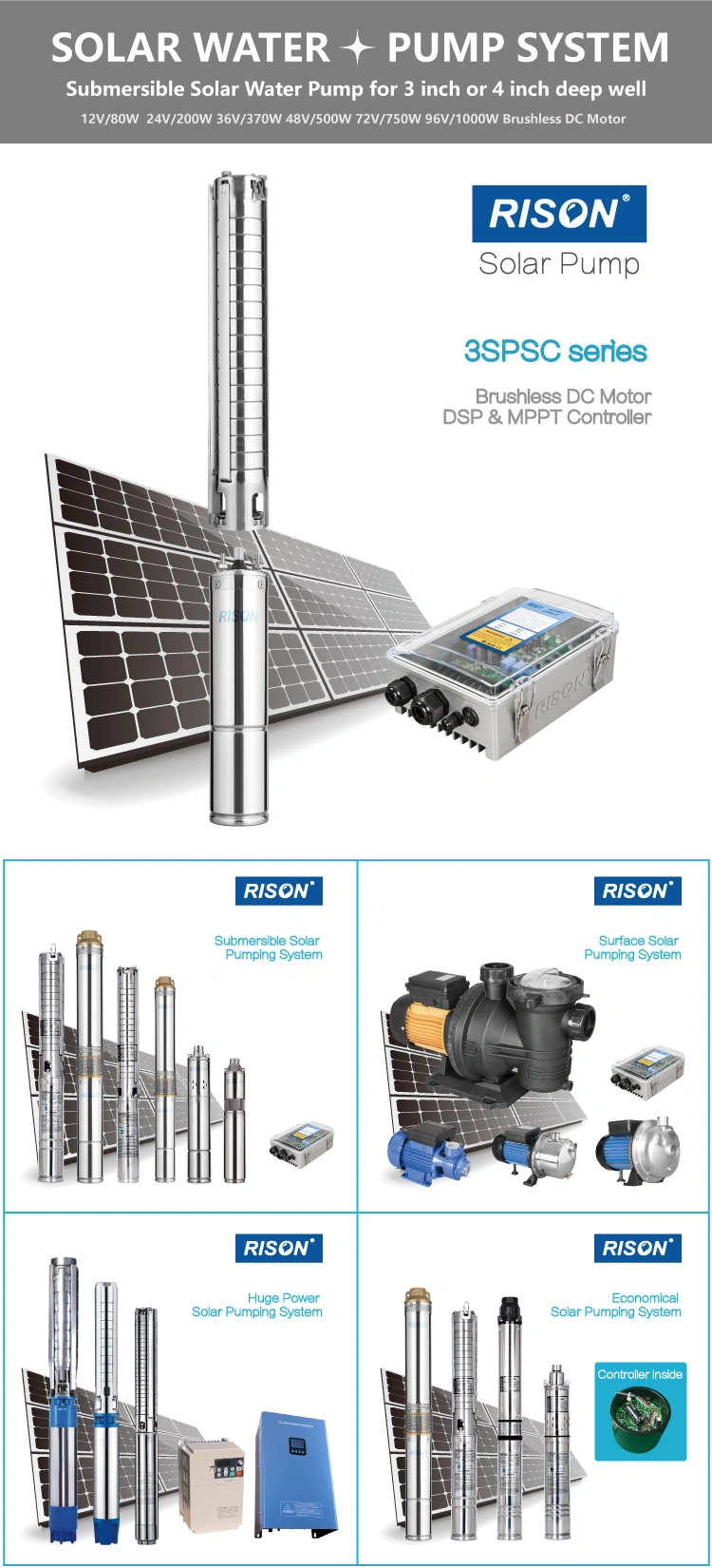 1HP 36V Solar Powered Pumping System for Dam Deep Well Water Pumping 316 Staineless Solar Pumps with MPPT Controller