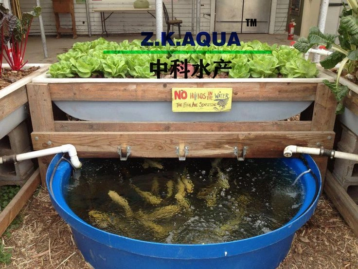 Fishery Equipment Quarantine Tank Kit Appropriate Fish Handling Pond Holding Tanks System